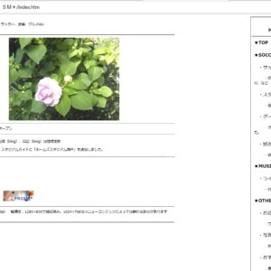 homepage02