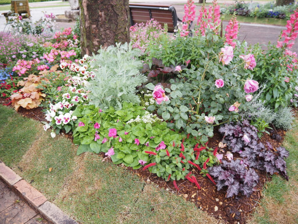 memory_gifuworldrosegarden-002