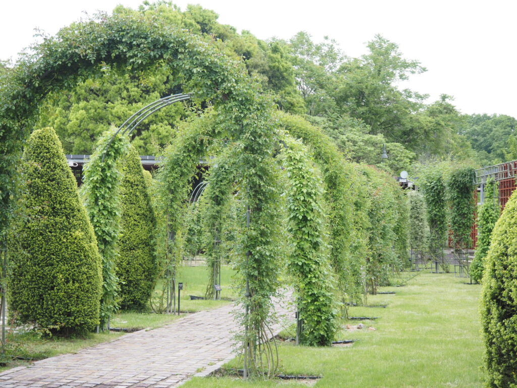 memory_gifuworldrosegarden-003