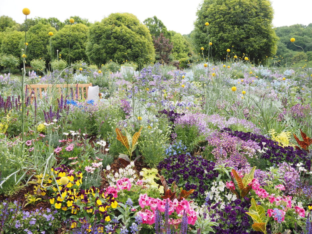 memory_gifuworldrosegarden-007