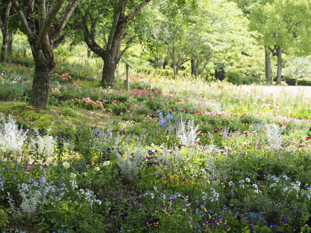 memory_gifuworldrosegarden-020
