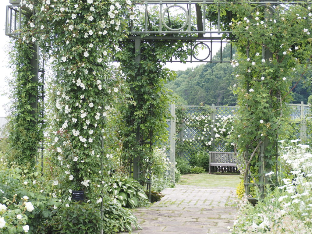 memory_gifuworldrosegarden-030