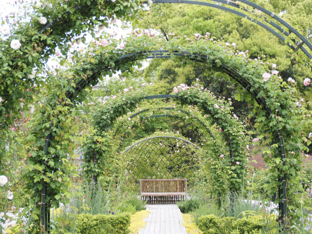 memory_gifuworldrosegarden-037