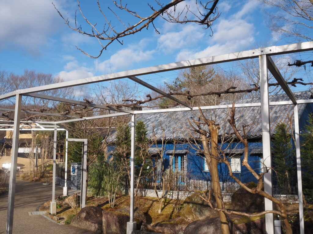 memory_enanakatsugawa_02_001