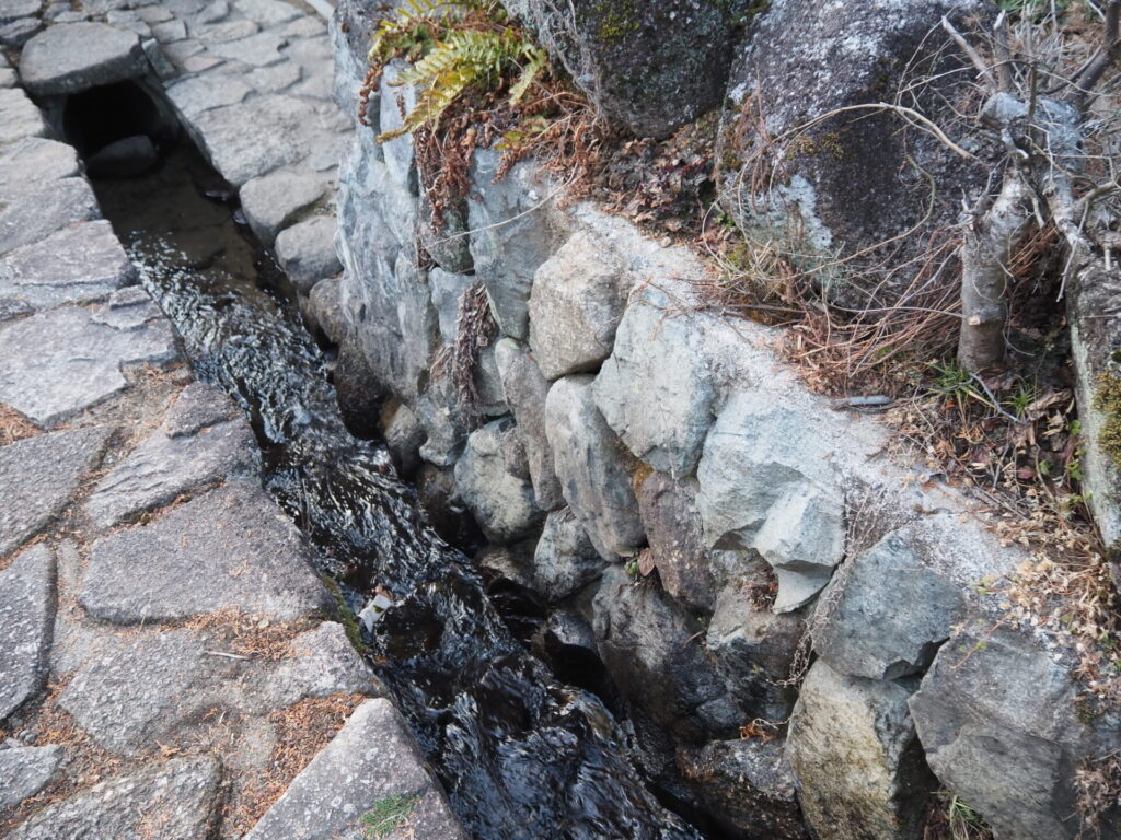 memory_tsumagomagome_054