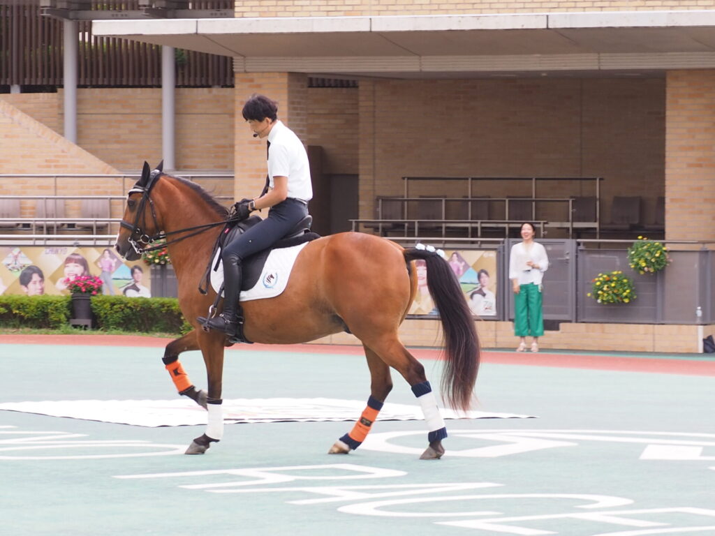 favorite-horse_93