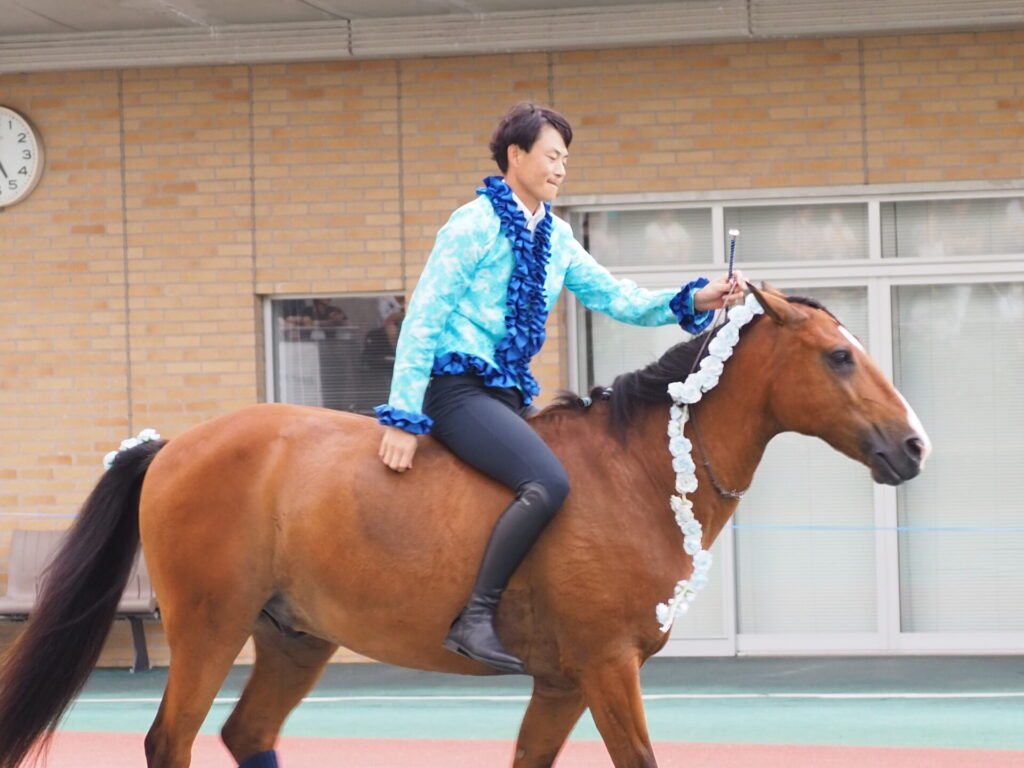 favorite-horse_94