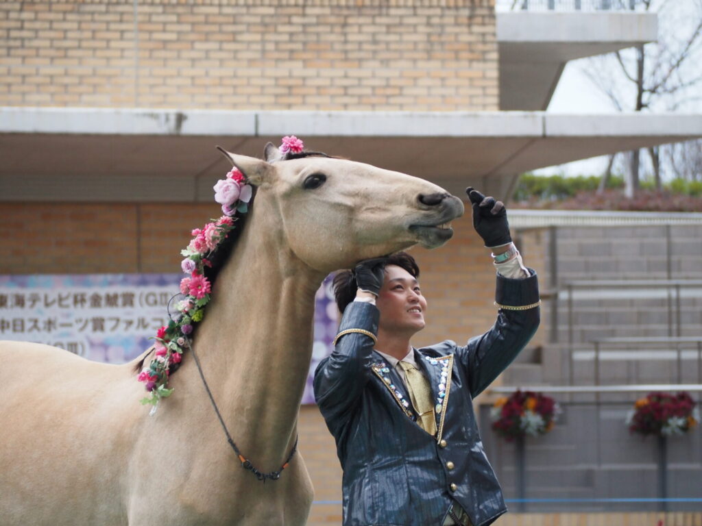 favorite-horse_95