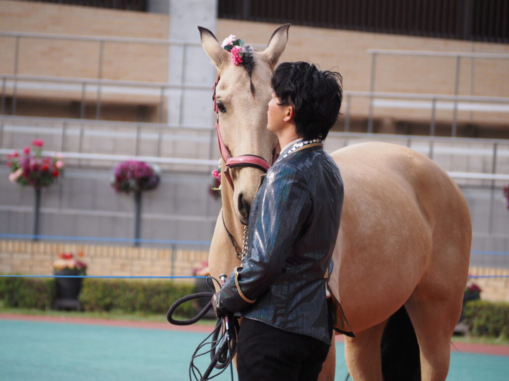 favorite-horse_96