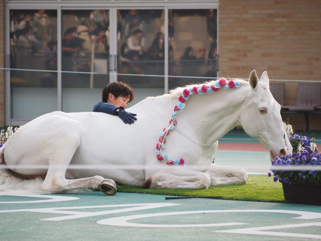 favorite-horse_97