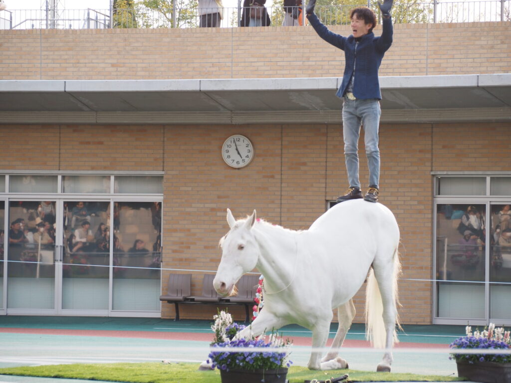 favorite-horse_98