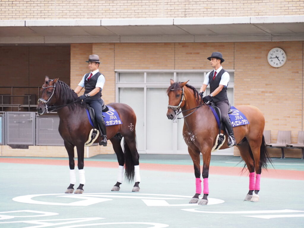 favorite-horse_99