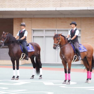 favorite-horse_99