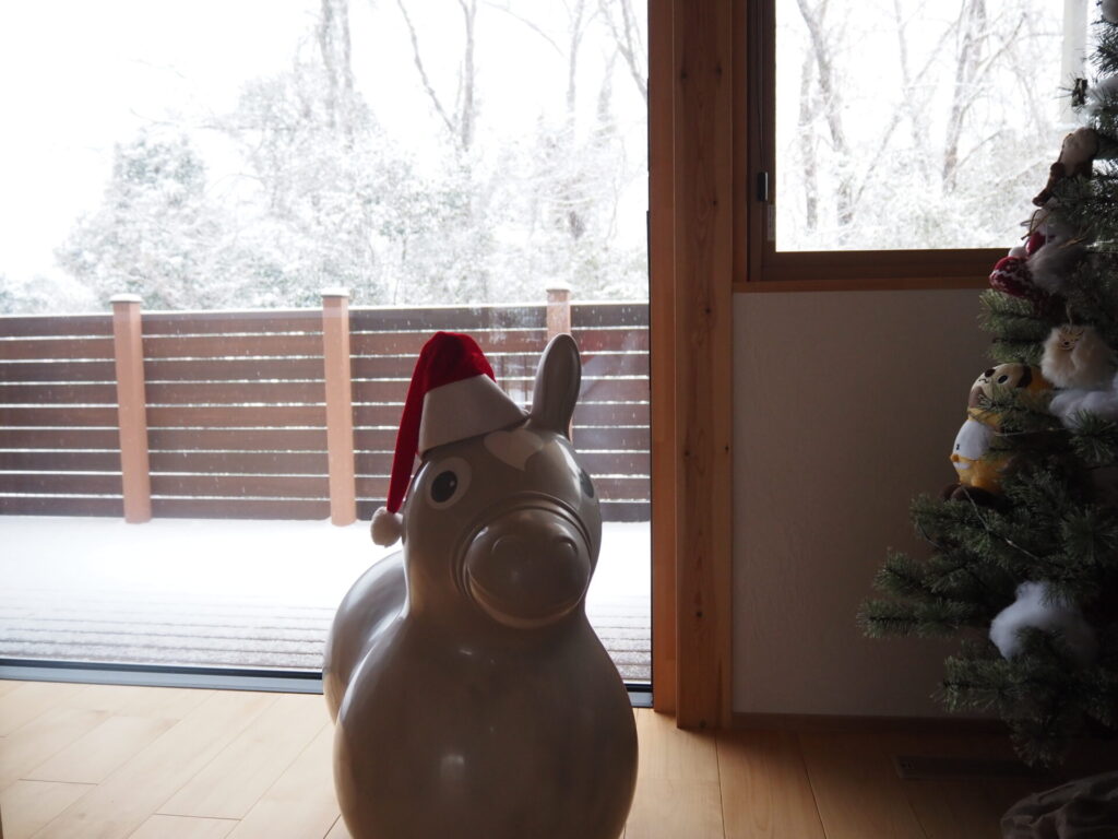 favorite-rody_08
